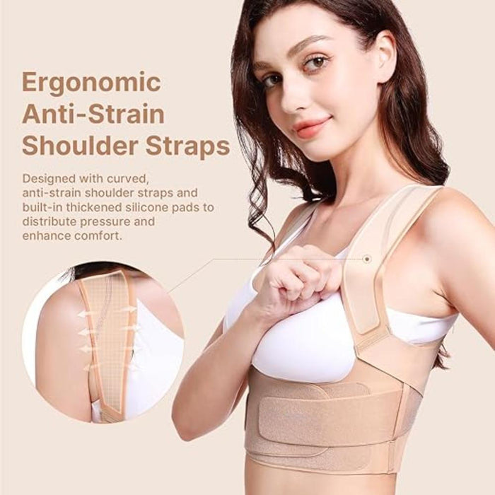 Adjustable Alignment Brace With Reinforced Straps